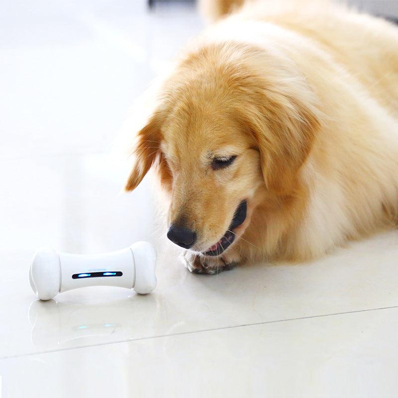 Introducing The Smart Chew Buddy - The Ultimate Interactive Toy For