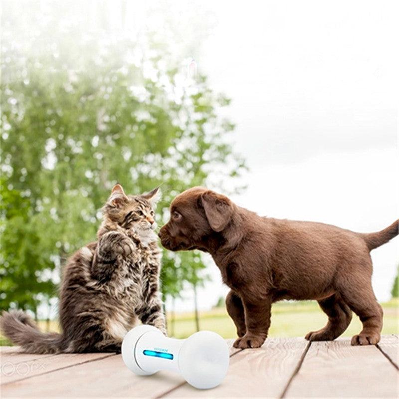 Introducing The Smart Chew Buddy - The Ultimate Interactive Toy For