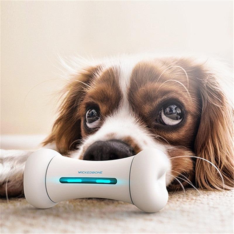 Introducing The Smart Chew Buddy - The Ultimate Interactive Toy For