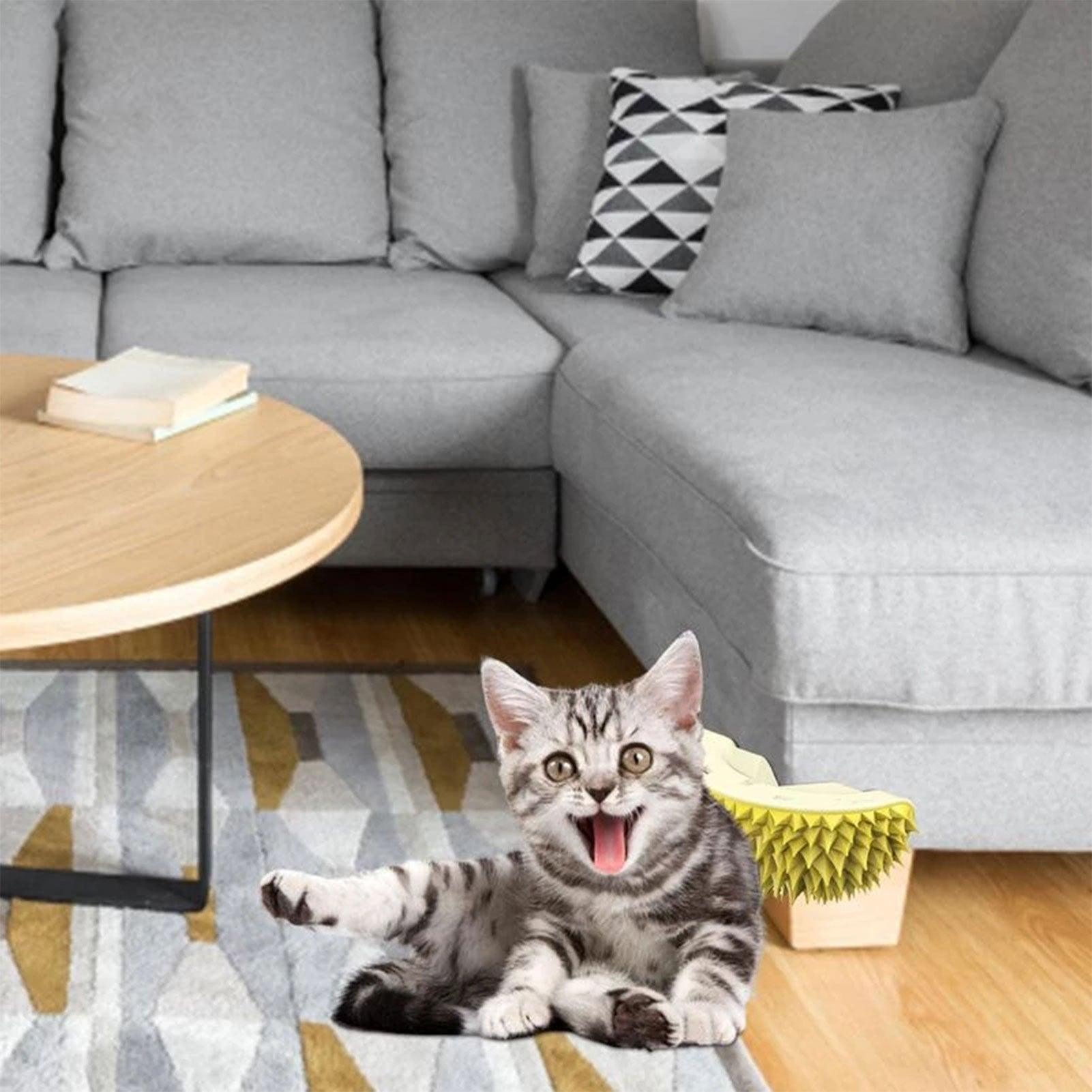 Durian Self-Grooming Wall Corner Brush & Scratcher