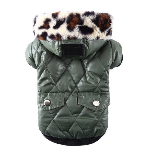 Autumn & Winter Fur Collar Dog Coat