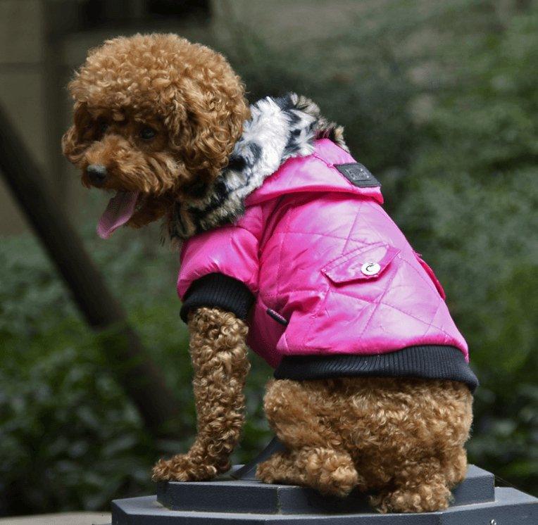 Autumn & Winter Fur Collar Dog Coat
