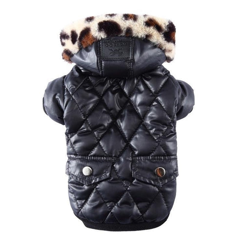 Autumn & Winter Fur Collar Dog Coat