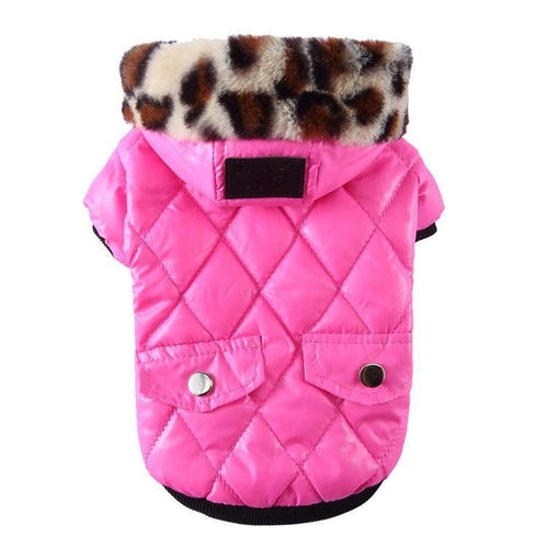 Autumn & Winter Fur Collar Dog Coat