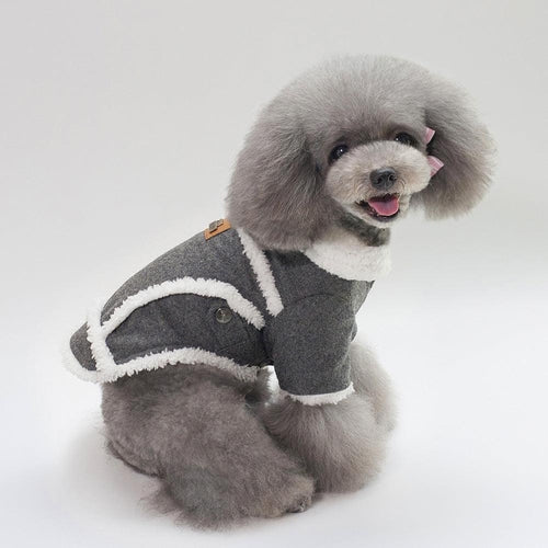 Cozy Chic Winter Dog Jacket - Stylish And Warm Pet Coat For French