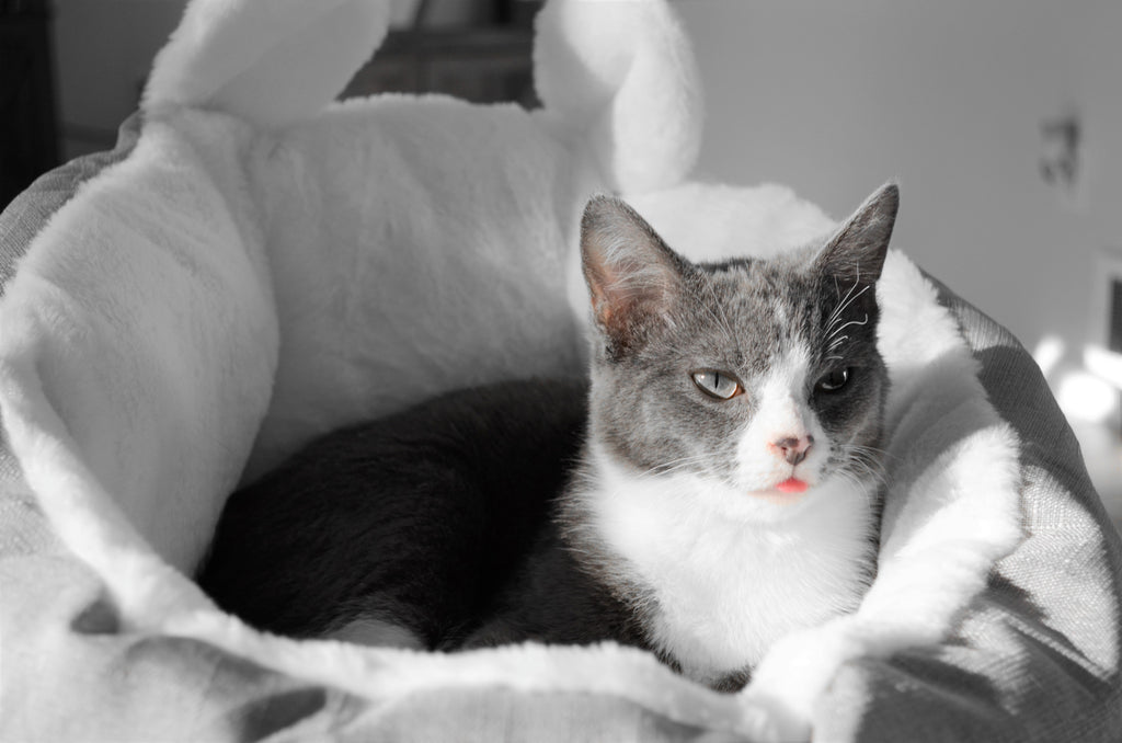 Cat Sleeping Bag Bed - Grey Small