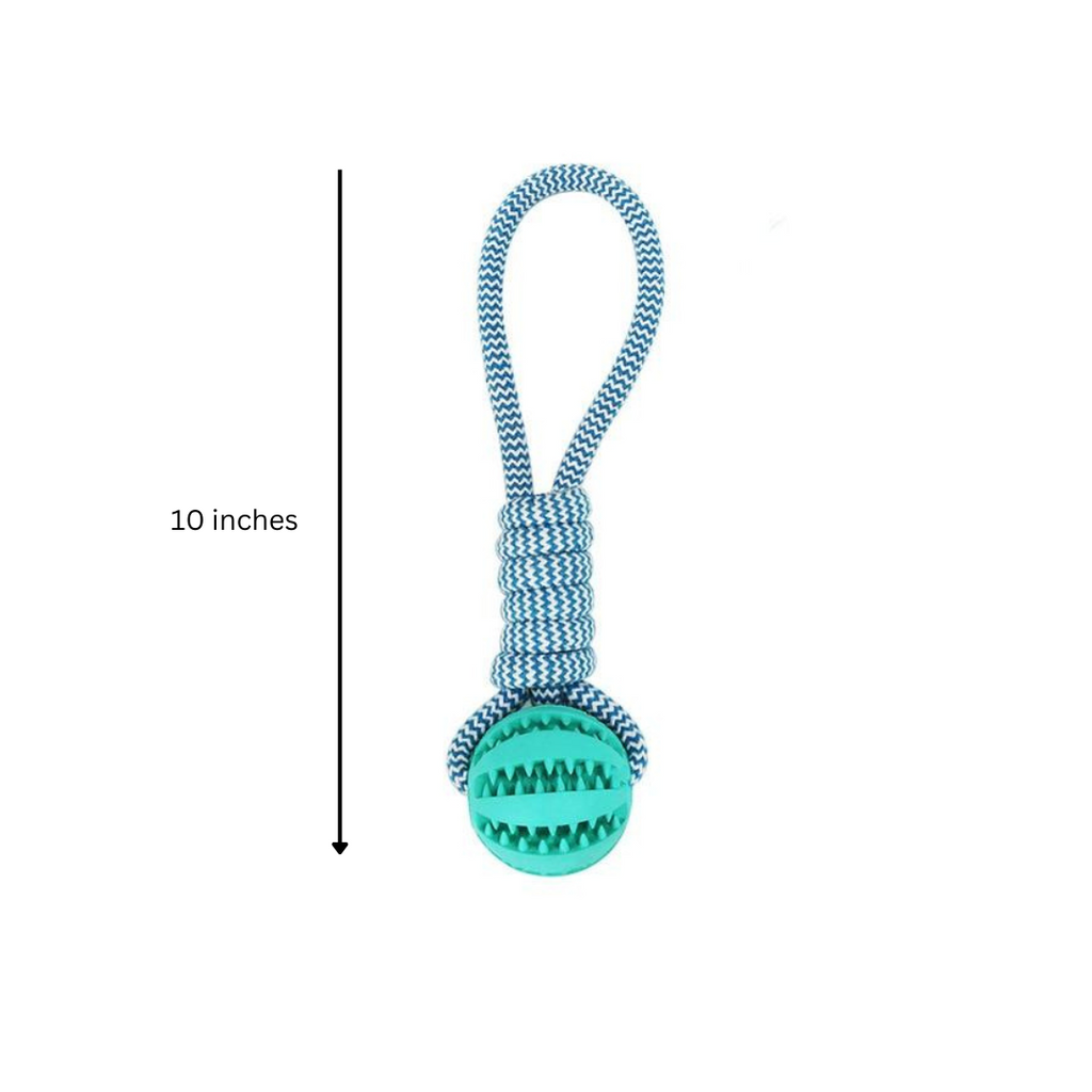 3-Pack Squeaky Toothbrush & Cotton Rope Ball Dog Toys