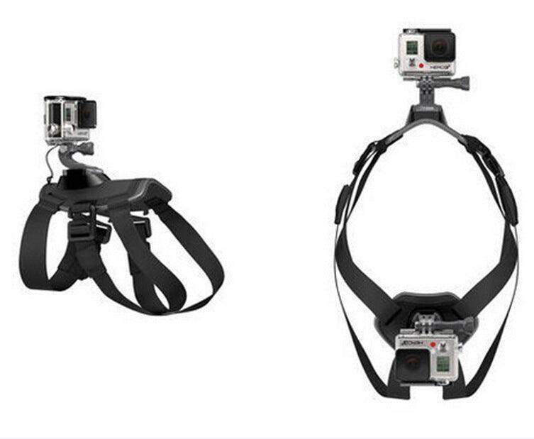 Dog's-Eye View: Capture The World With The Pet Dog Chest Strap